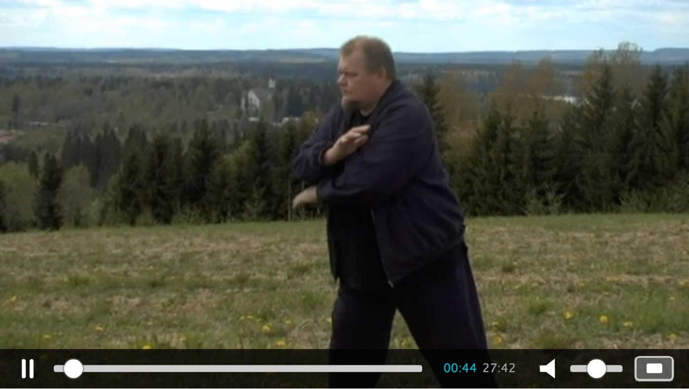 YLE Elävä Arkisto